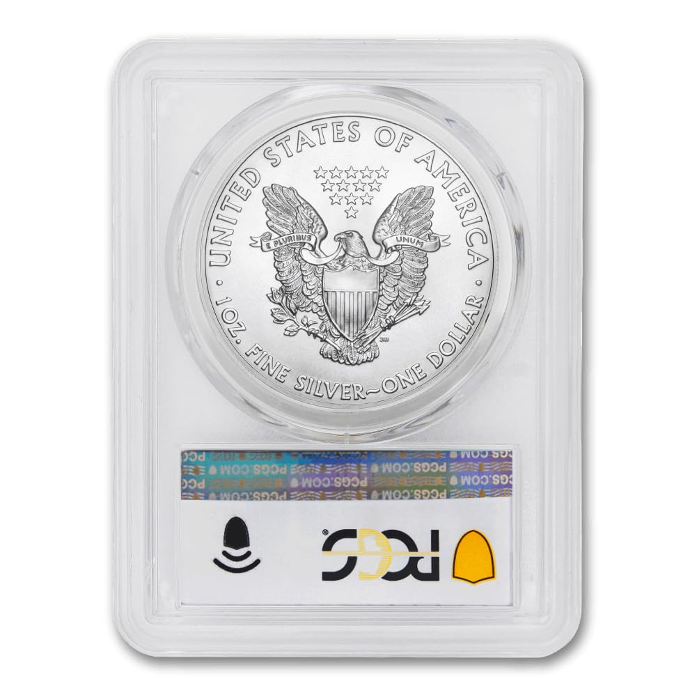 1 oz American Silver Eagle Coin MS-70 R312002