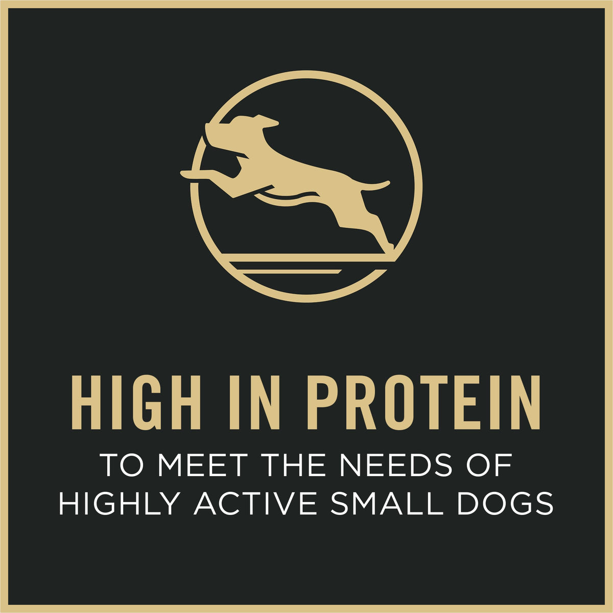 Small Breed Dry Dog Food 6 lb Bag C2205