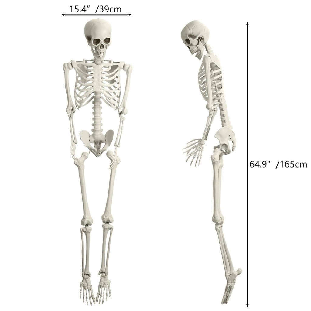 Halloween Skeleton Poseable Prop X9188