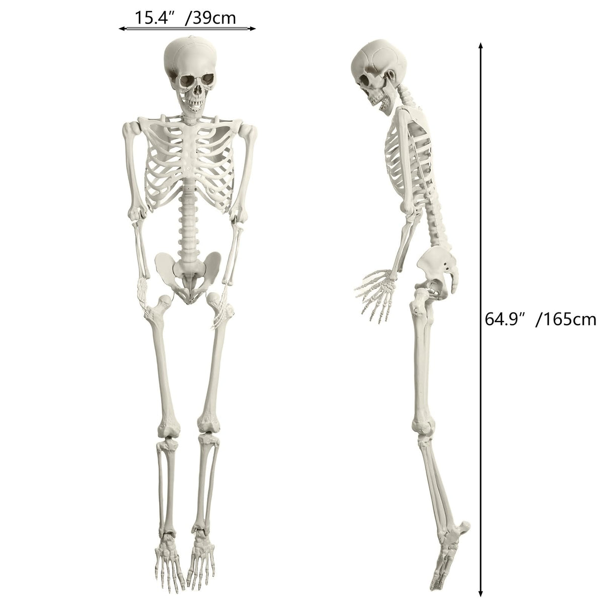 Halloween Skeleton Poseable Prop X9188