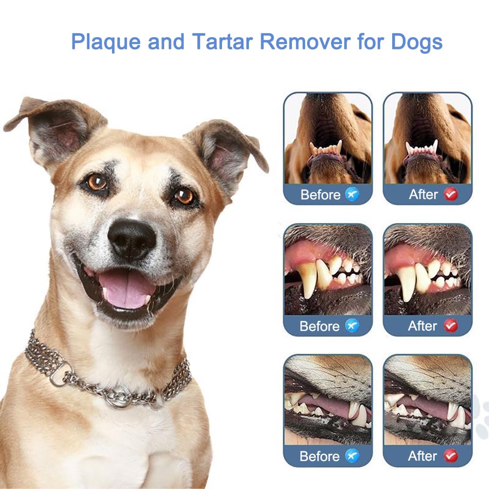 Pet Ultrasonic Tooth Cleaner with 3 Adjustable Modes P6372