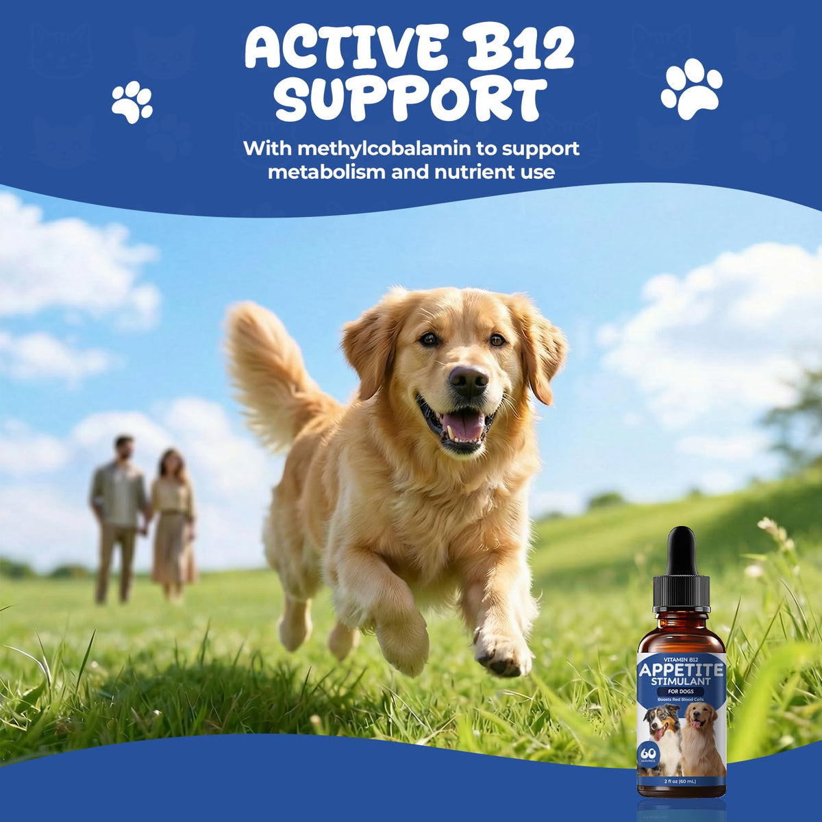 Vitamin B12 Liquid Drops with Methylcobalamin T329