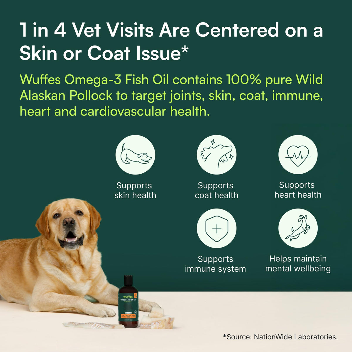 Omega-3 Fish Oil for Dogs, 16 oz Wild Alaskan Pollock Oil R37521