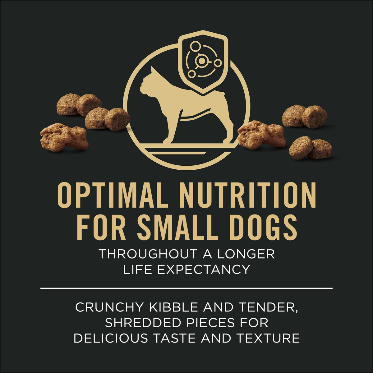 Small Breed Dry Dog Food 6 lb Bag C2205
