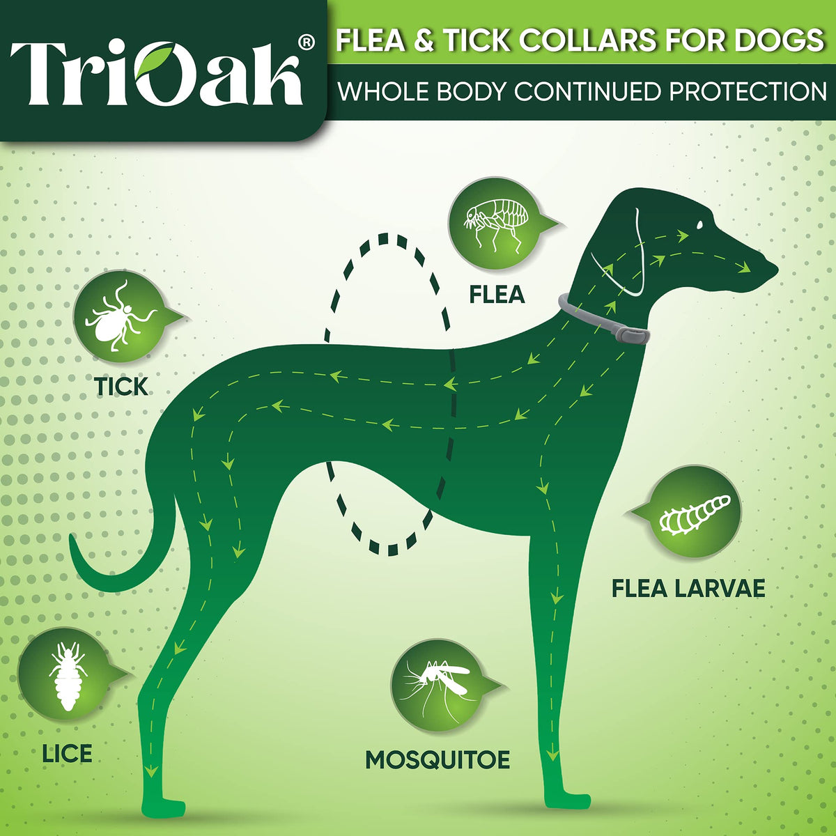 Adjustable Flea and Tick Prevention Dog Collar O430