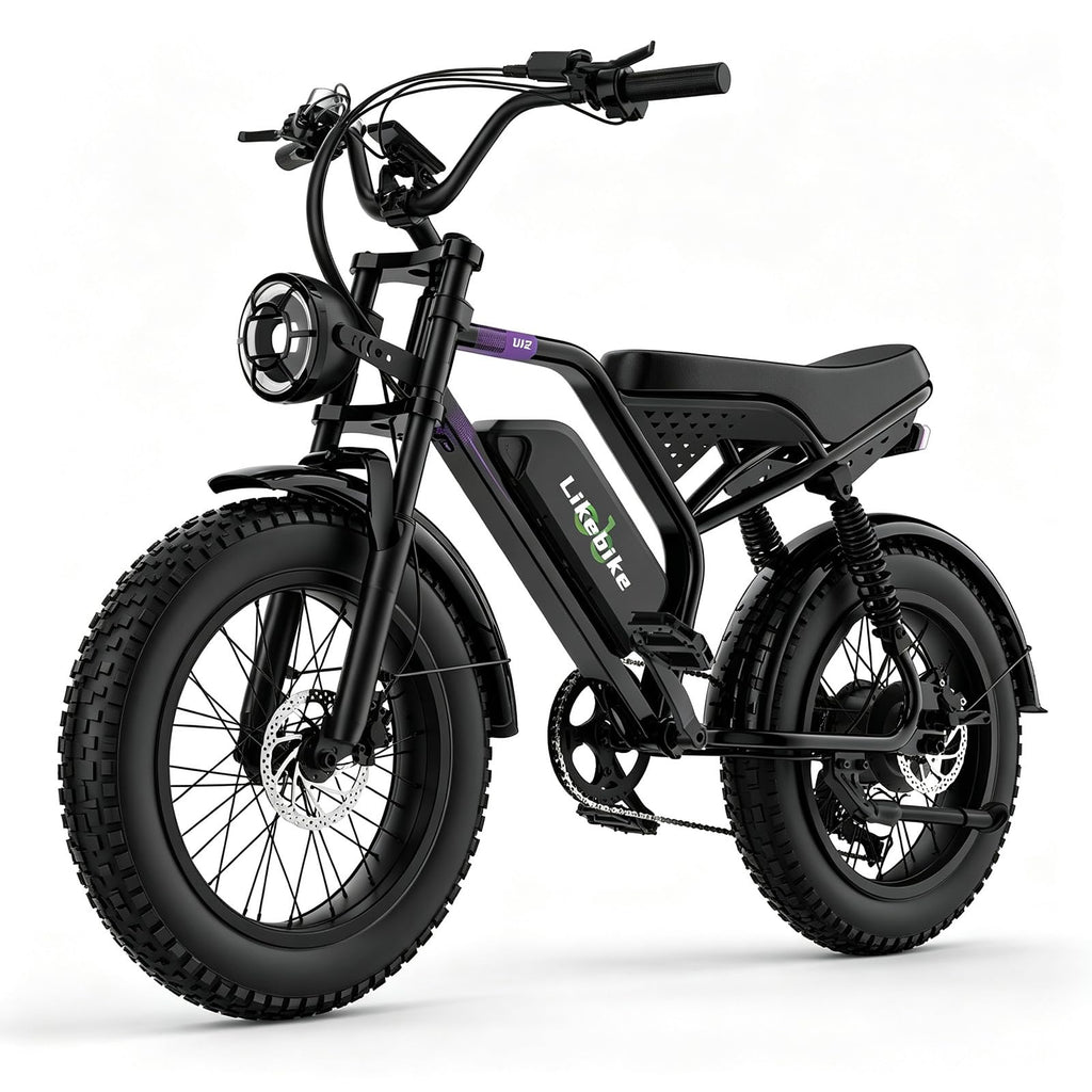 1500W 80 Miles 48V 20AH Electric Bike K15373