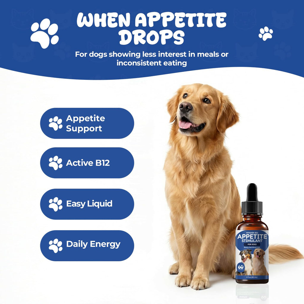 Vitamin B12 Liquid Drops with Methylcobalamin T329