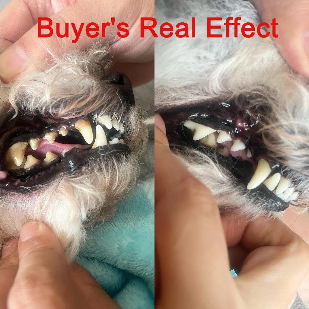Pet Ultrasonic Tooth Cleaner with 3 Adjustable Modes P6372