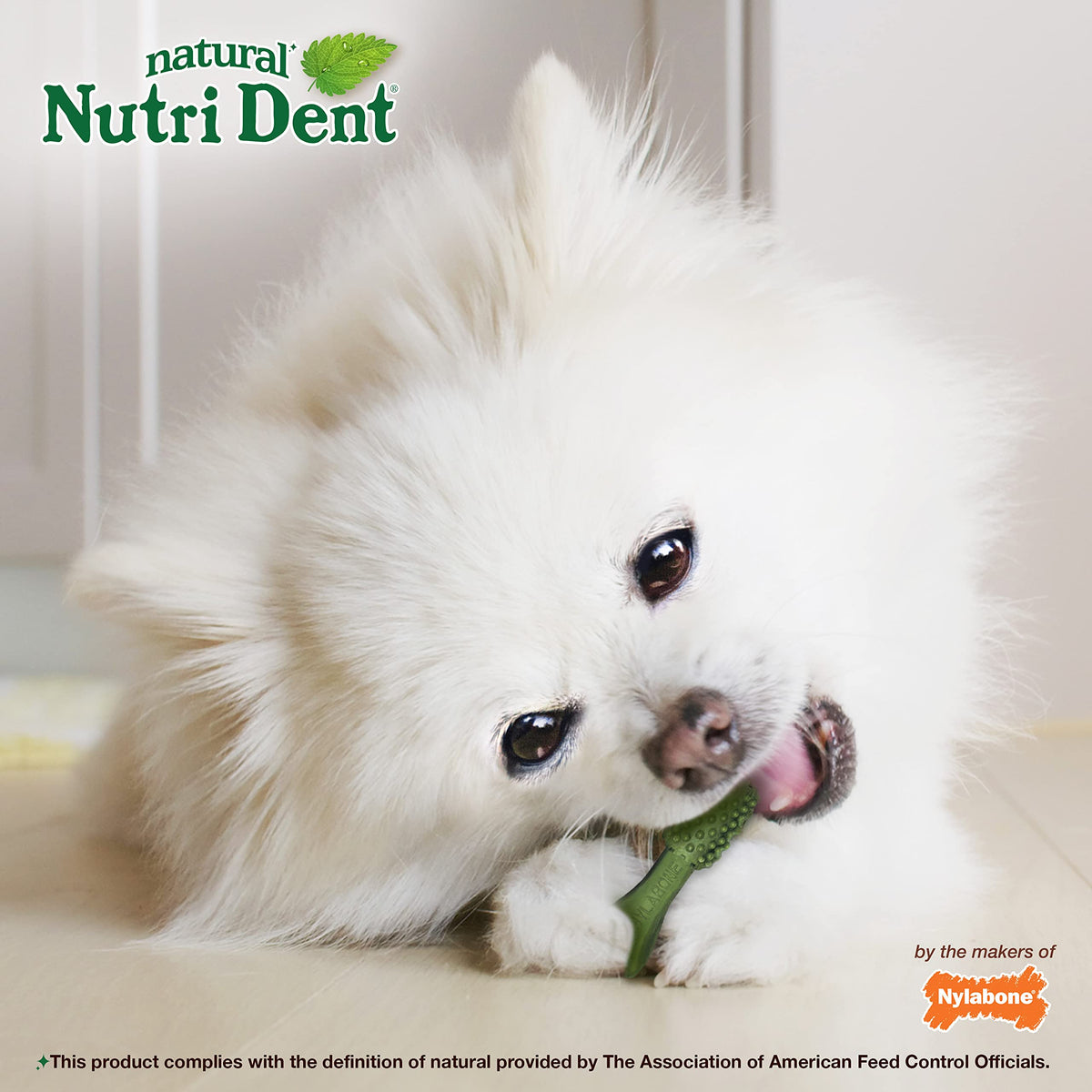 Natural Dog Dental Chews Mini 32 Count N653