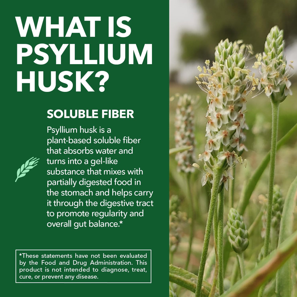 Vegan Psyllium Husk Fiber Capsules 270 Pills D4959