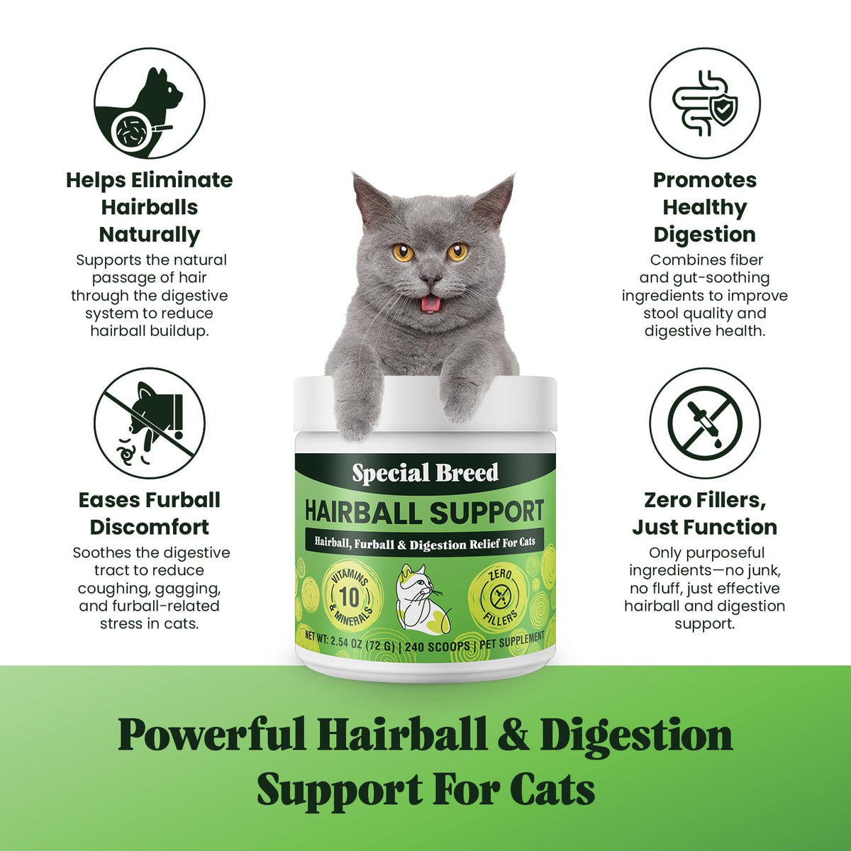 Hairball Support for Cats E881