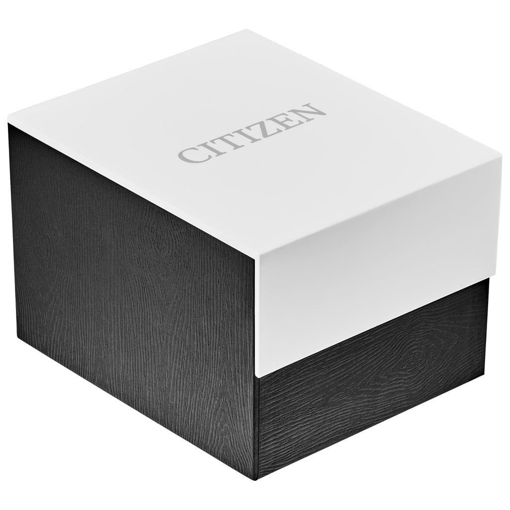 Chronograph Watch I456