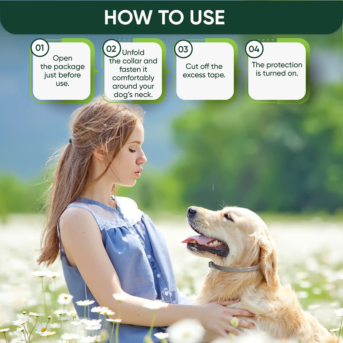 Adjustable Flea and Tick Prevention Dog Collar O430