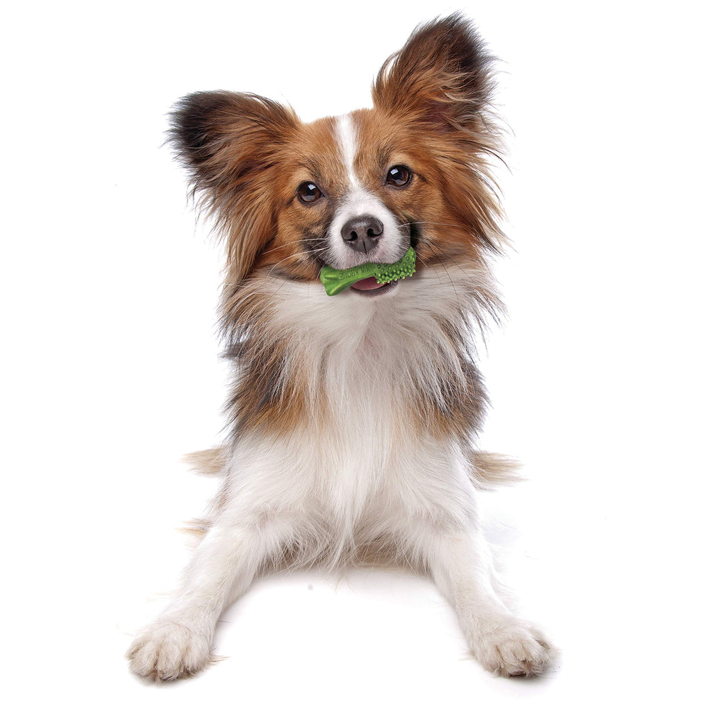 Natural Dog Dental Chews Mini 32 Count N653