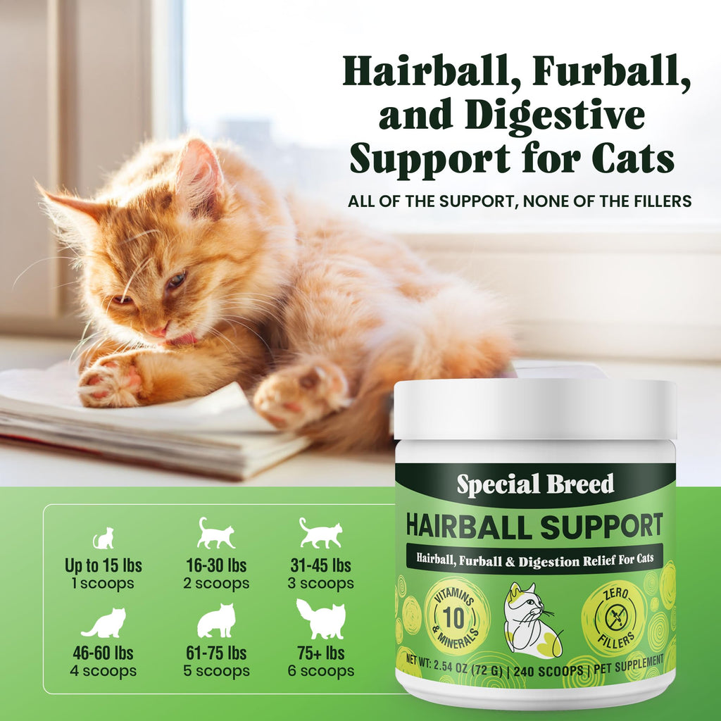 Hairball Support for Cats E881
