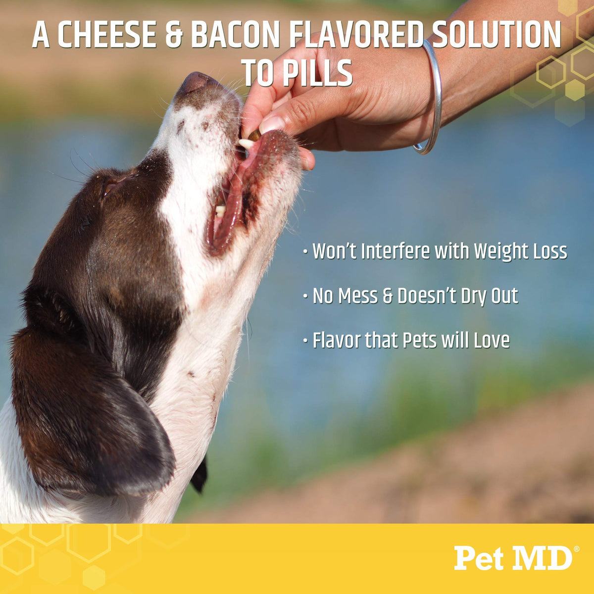 Cheese & Bacon Flavor Pill Paste for Dogs 4.2 oz I67738
