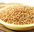 Hard White Spring Wheat Berries 25 Lb Bag U527887