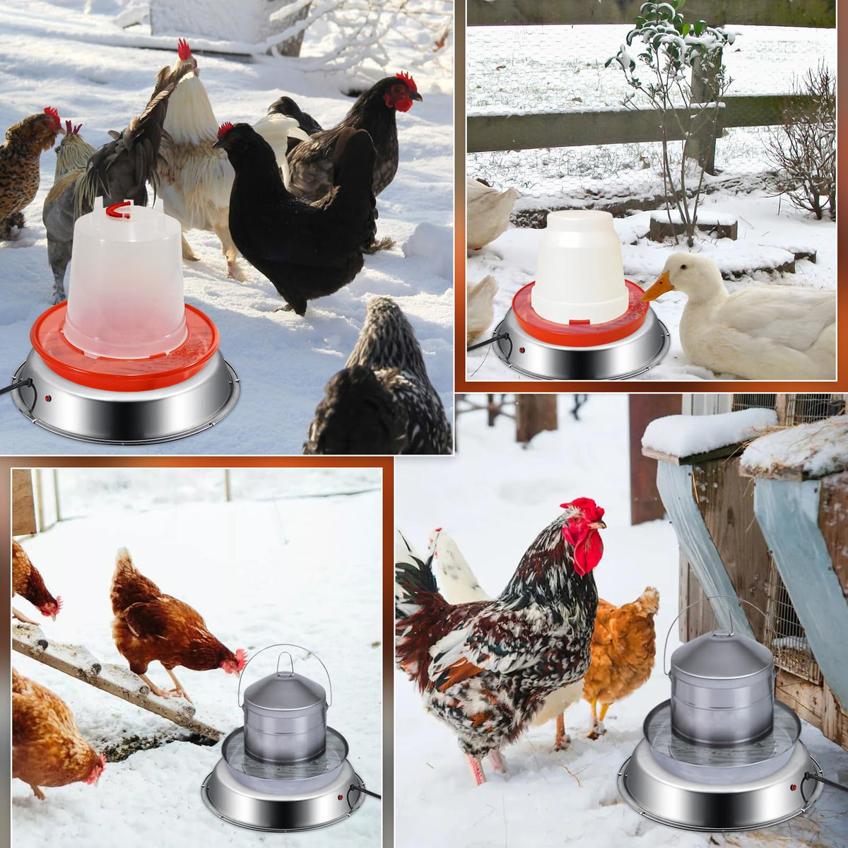 12 Inch 5 Gallons Poultry Waterer Heated Base with Thermostat T4009