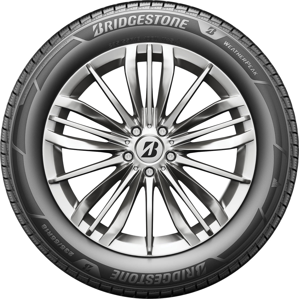 All Weather 265/60R18 110V Passenger Tire E214