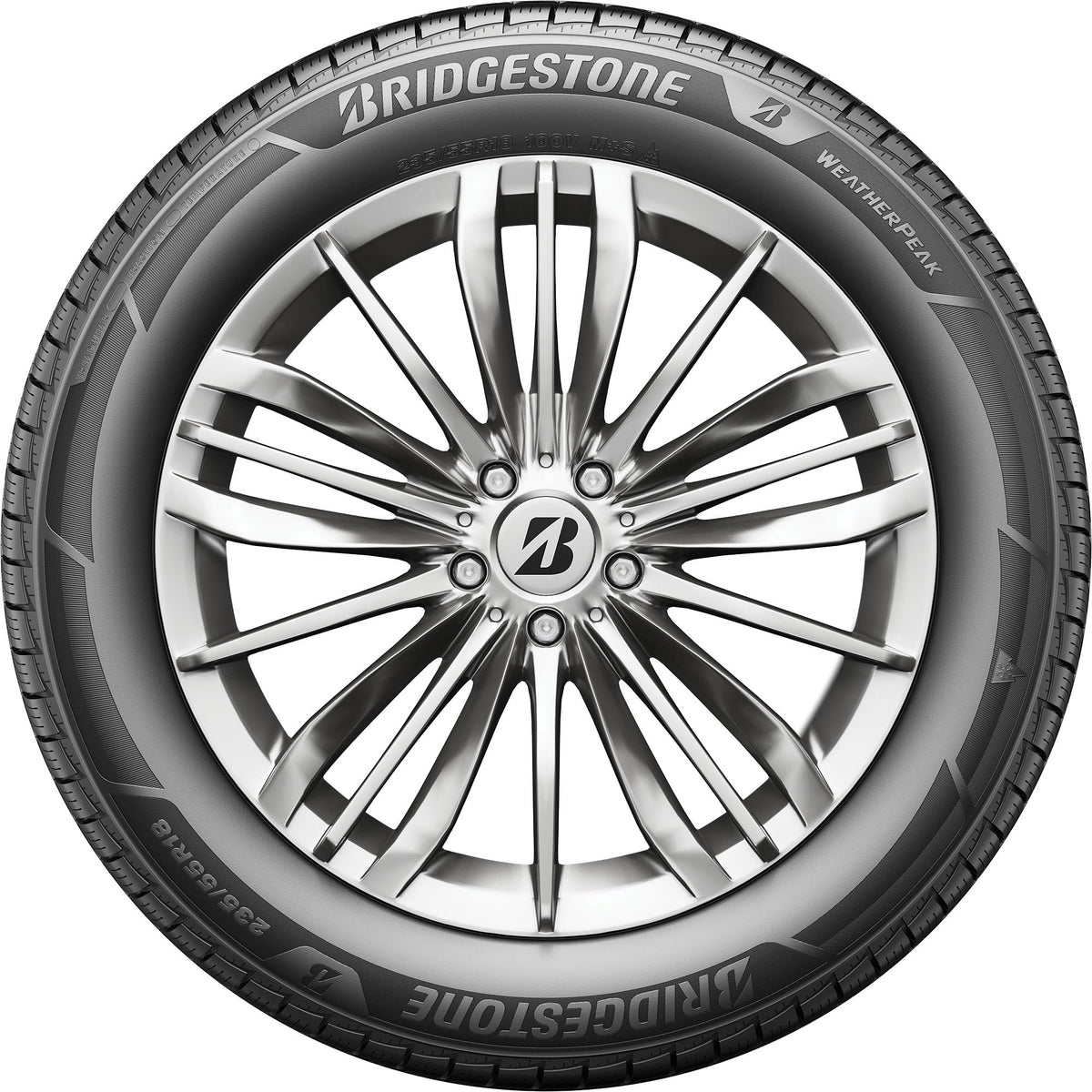 All Weather 265/60R18 110V Passenger Tire E214