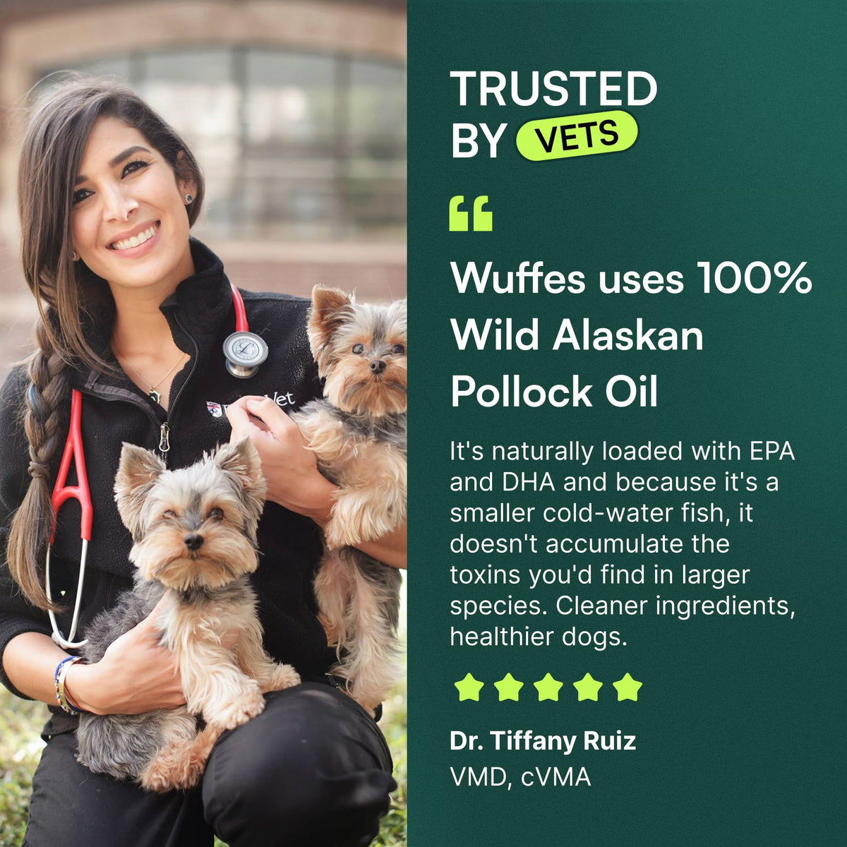 Omega-3 Fish Oil for Dogs, 16 oz Wild Alaskan Pollock Oil R37521