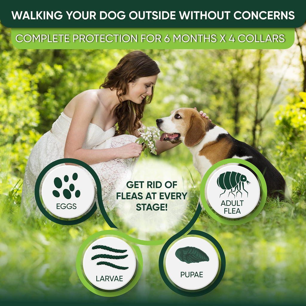 Adjustable Flea and Tick Prevention Dog Collar O430