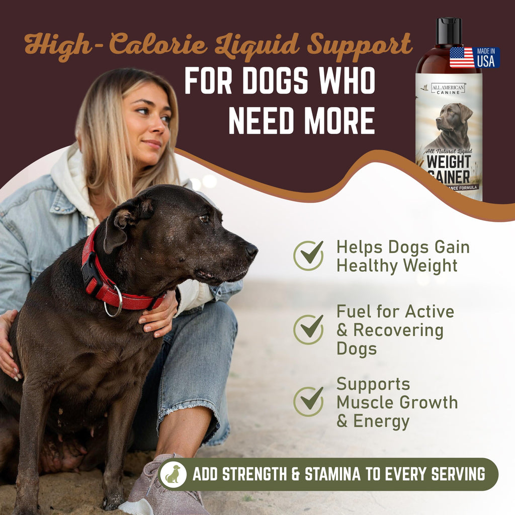High Calorie Dog Weight Gainer Liquid 16 oz C295737