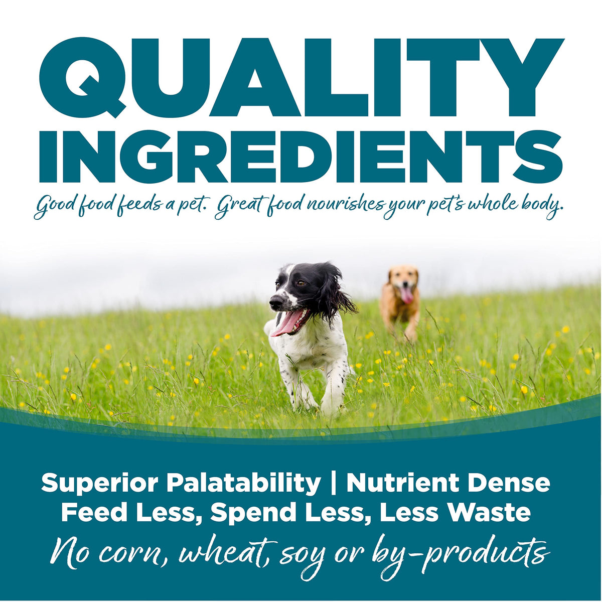 Chicken & Rice Dog Food 26lb X308