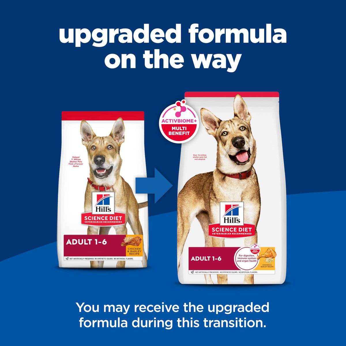 Dry Dog Food B72711