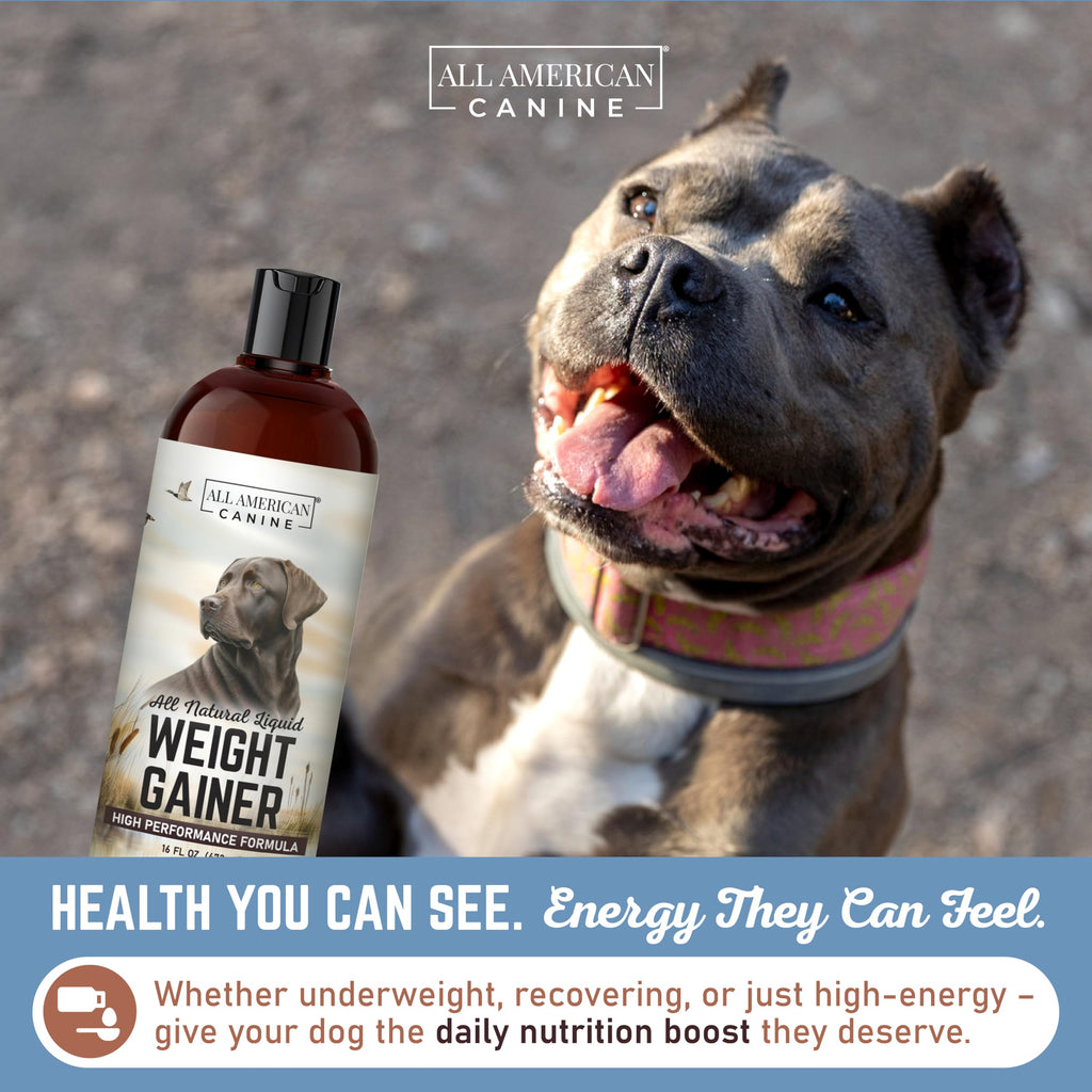 High Calorie Dog Weight Gainer Liquid 16 oz C295737