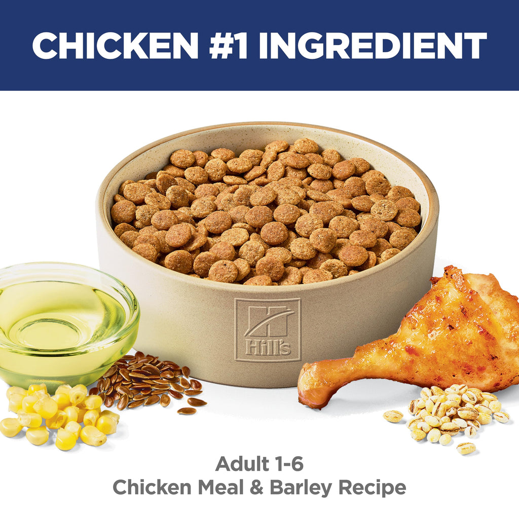 Dry Dog Food B72711